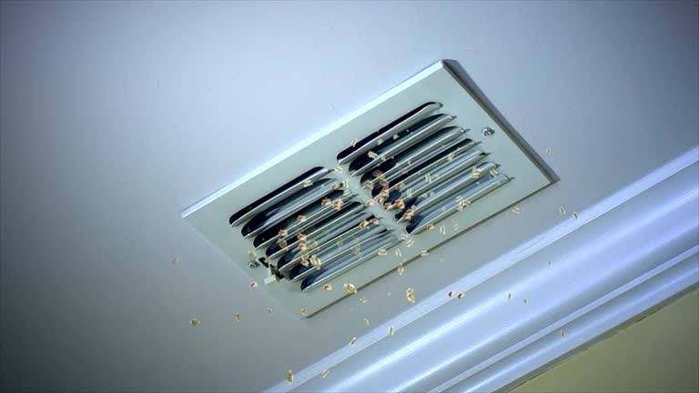 Professional Airduct Cleaning in SD